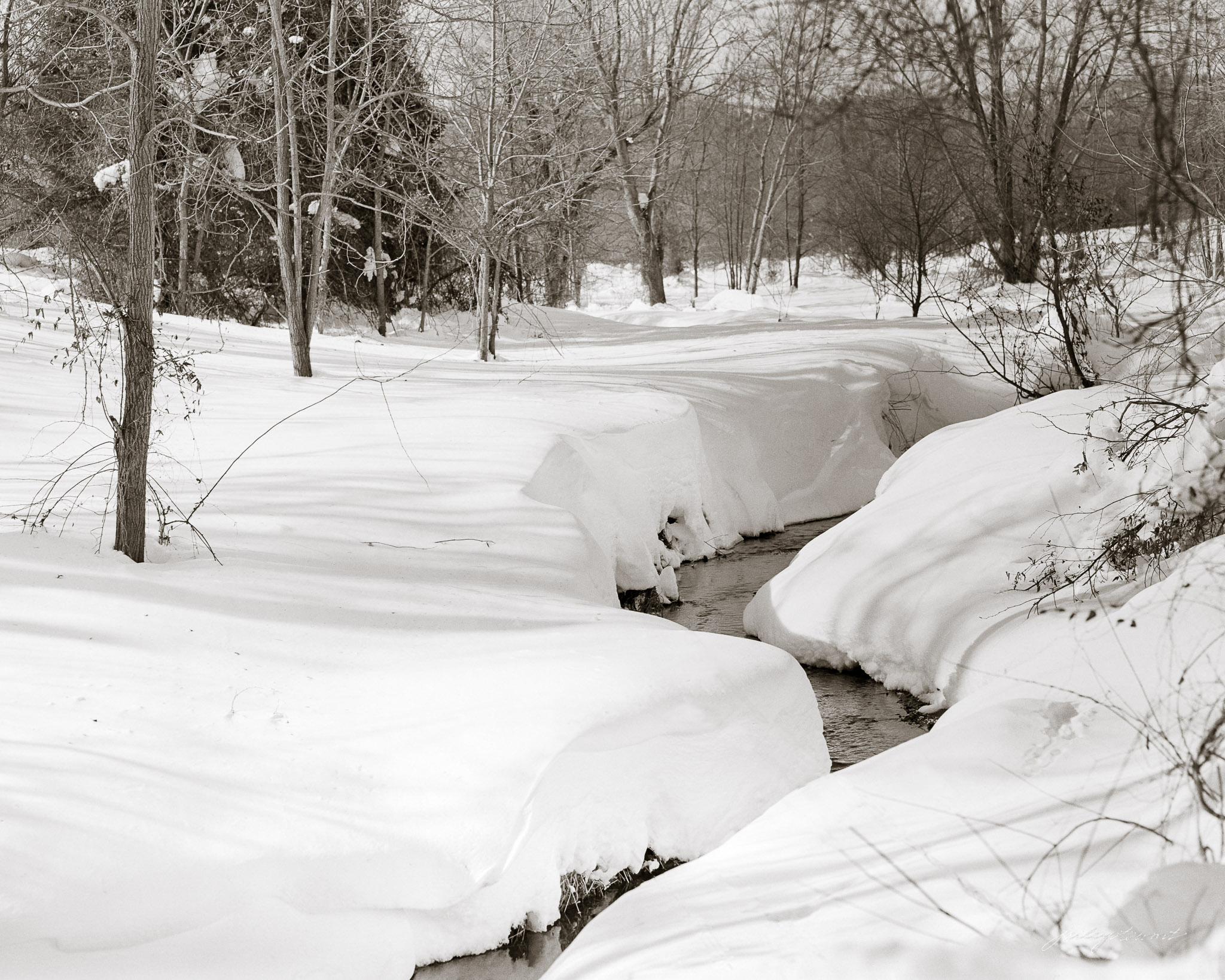 Loudoun Stream in Winter